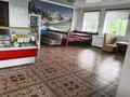 Придорожное кафе кемпинг. · 260 м², бағасы: 40 млн ₸ в Актобе — фото 4