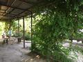 Дача · 2 комнаты · 47 м² · 6 сот., Цветочная 6 за 11 млн ₸ в Шымкенте, Каратауский р-н — фото 22