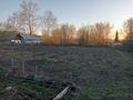 Отдельный дом · 3 комнаты · 90 м² · 14 сот., Трактовая 17 — Киргородок за 5 млн ₸ в Глубокое — фото 4