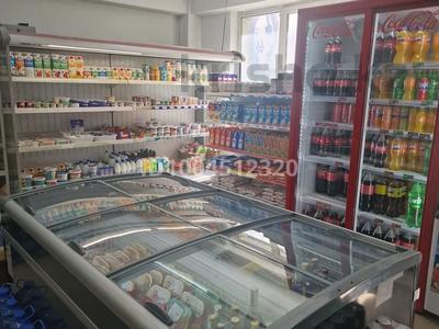 Магазины и бутики · 134 м² за 140 млн 〒 в Иргели