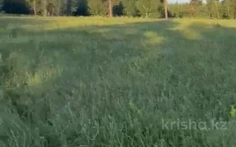 Участок · 20 соток, Щербаково за 13 млн ₸ в Костанайской обл. — фото 3