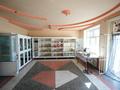 Свободное назначение · 500 м² за 350 млн ₸ в Аксукенте — фото 13