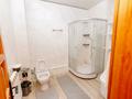 Жеке үй · 7 бөлме · 305 м² · 20 жүзд., Заезд Боровой 5, бағасы: 230 млн ₸ в Семее — фото 18