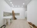 2-комнатная квартира · 50.5 м² · 11/12 этаж, Улица А 52, 8 за 28.5 млн ₸ в Астане, Сарайшык р-н — фото 5