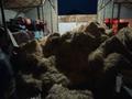 Склады · 420 м² за 22 млн ₸ в Шымкенте, Каратауский р-н — фото 8