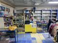 Отдельный дом · 5 комнат · 176.7 м² · 11.76 сот., Әлейхан Бөкейхан 4 — Мешіт қасы орталы жолдын бойы за 60 млн ₸ в Жанаозен — фото 53