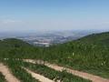 Участок · 5 га, Кок-Лай-Сай за 200 млн ₸
