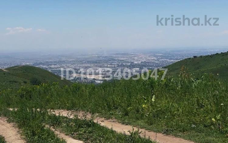Участок · 5 га, Кок-Лай-Сай за 200 млн ₸ — фото 8