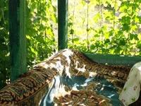Отдельный дом · 3 комнаты · 40 м² · 14 сот., Сосновая 36 — Дом отдыха сейчас школа биатлона за ~ 6 млн ₸ в Риддере