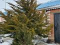 Жеке үй · 4 бөлме · 200 м² · 10 жүзд., Геолог -ш/а., Муката Мусаева 43, бағасы: 28 млн ₸ в Атырау, мкр Геолог — фото 10