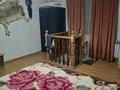 Отдельный дом · 4 комнаты · 70 м² · 9 сот., Виноградная 70 — Арсултан магазин за 25 млн ₸ в Конаеве — фото 10