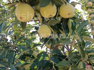 Промбаза · 7 га, Молдагулова 46 за 18 млн 〒 в Акжоле