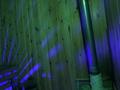 Отдельный дом · 6 комнат · 251 м² · 7.59 сот., мкр Калкаман-2 129 — Серали Лапина 129 за 210 млн ₸ в Алматы, Наурызбайский р-н — фото 10