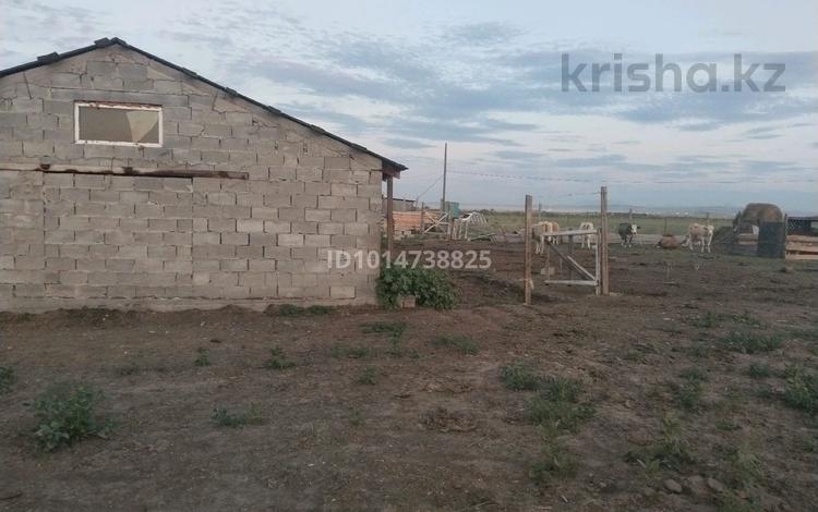 Участок · 1.2 га, 4 1 — Городок за 35 млн ₸ в Усть-Каменогорске, Ахмирово — фото 2