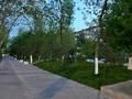 3-комнатная квартира · 60 м² · 3/5 этаж, Кабанбай батыра 11а за 21 млн ₸ в Шымкенте, Аль-Фарабийский р-н — фото 22