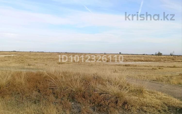Жер телімі · 520 га, Казатком, бағасы: 380 млн ₸ — фото 2