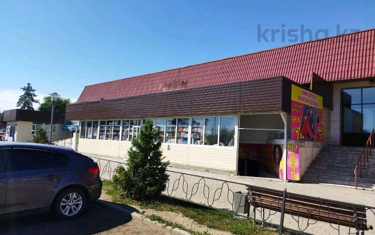 Офисы, магазины и бутики, склады, салоны красоты, медцентры и аптеки, образование, развлечения · 2000 м² за 320 млн ₸ в Балпыке Би — фото 2