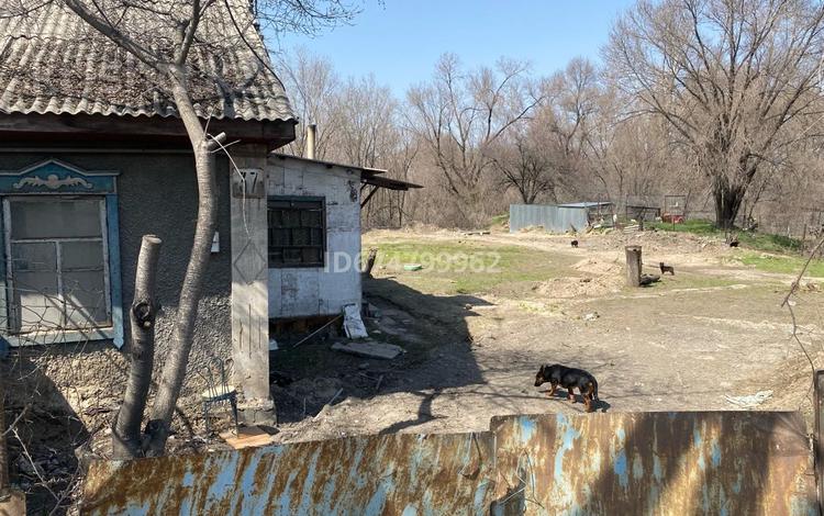 Сельское хозяйство • 30 м² за 250 000 〒 в Алматы — фото 2