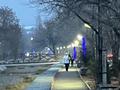 Отдельный дом · 5 комнат · 240 м² · 4 сот., Айтматова 18 — Аксайская улица за 110 млн 〒 в Алматы, Наурызбайский р-н — фото 25