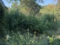 Участок · 10 соток, Талгар за 13.5 млн ₸