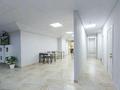 Офисы, салоны красоты • 470 м² за 160 млн 〒 в Алматы, Бостандыкский р-н — фото 6