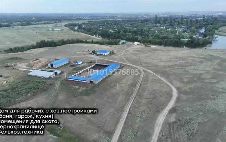 Крестьянское хозяйство · 110000 м² за 1.5 млрд ₸ в Мичуринское — фото 2
