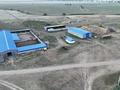 Крестьянское хозяйство · 110000 м² за 1.5 млрд ₸ в Мичуринское — фото 2