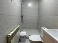Дом · 5 комнат · 500 м², Жаркент за 250 000 ₸ в Астане, Алматы р-н — фото 20