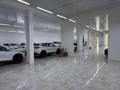 Свободное назначение · 1000 м² за 1.9 млн ₸ в Шымкенте, Абайский р-н — фото 16