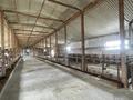 Жер телімі · 300 га, Е. Мусина 1, бағасы: 120 млн ₸ в Бестамак — фото 10