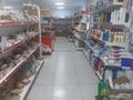 Магазины и бутики • 220 м² за 40 млн 〒 в Шортандах — фото 6