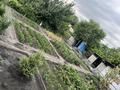 Отдельный дом · 5 комнат · 200 м² · 9 сот., Наурызбай батыра 43а — Не доезжая кольца переулок Жасару магазин за 17 млн ₸ в Балпыке Би — фото 4
