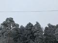 Жеке үй · 3 бөлме · 60 м² · 7 жүзд., Фурманова 4 — Парковая, бағасы: 7 млн ₸ в Акколе — фото 15