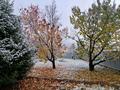 Отдельный дом · 4 комнаты · 259 м² · 15 сот., мкр Акжар 12 за 95 млн ₸ в Алматы, Наурызбайский р-н — фото 12