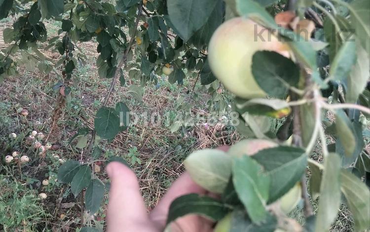 Саяжай · 2 бөлме · 28 м² · 8.1 жүзд., Магистральная, бағасы: 4.3 млн ₸ в Кокшетау — фото 2