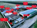 Ауыл шаруашылығы · 8000 м², бағасы: 200 млн ₸ в Косозен