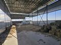 Ауыл шаруашылығы · 8000 м², бағасы: 200 млн ₸ в Косозен — фото 13