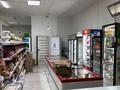 Магазины и бутики · 380 м² за 170 млн ₸ в Алматы, Наурызбайский р-н — фото 6