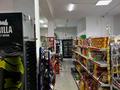 Магазины и бутики · 380 м² за 170 млн ₸ в Алматы, Наурызбайский р-н — фото 8