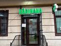 Магазины и бутики · 380 м² за 170 млн ₸ в Алматы, Наурызбайский р-н — фото 12