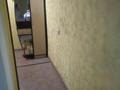 1-комнатная квартира, 28 м², 3/5 этаж, проспект Жамбыла 123 за 12.6 млн 〒 в Таразе — фото 23