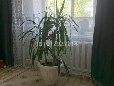 3-бөлмелі пәтер · 69 м² · 3/10 қабат, Машхур Жусупа 270, бағасы: 250 000 ₸ в Павлодаре