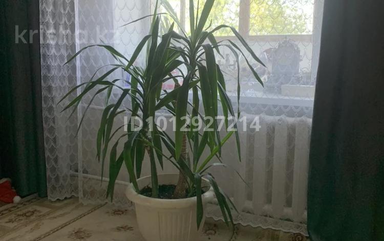 3-бөлмелі пәтер · 69 м² · 3/10 қабат, Машхур Жусупа 270, бағасы: 250 000 ₸ в Павлодаре — фото 2