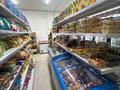 Магазины и бутики · 85 м² за 500 000 ₸ в Астане, Сарыарка р-н — фото 4