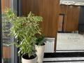 1-комнатная квартира · 44 м² · 8/14 этаж, Мкр. Самал-3 15 за 56.9 млн ₸ в Алматы, Медеуский р-н — фото 14