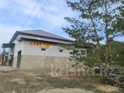 Қоғамдық тамақтану орны · 200 м², бағасы: 1 млн ₸ в Семее, Красный Кордон