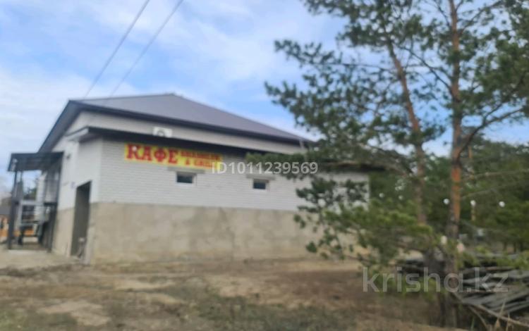 Қоғамдық тамақтану орны · 200 м², бағасы: 1 млн ₸ в Семее, Красный Кордон — фото 2