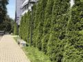 Сұлулық салондары, студиялар · 15 м², бағасы: 150 000 ₸ в Алматы, Бостандыкский р-н — фото 6