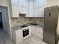 2-комнатная квартира · 48 м² · 10/12 этаж, ул. Чингиза Айтматова 77 за 250 000 ₸ в Астане, Есильский р-н — фото 4