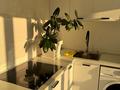 1-комнатная квартира · 41 м² · 3/9 этаж, Кульджинский тракт 153/29 — Бухтарминская за 16 000 ₸ в Алматы, Турксибский р-н — фото 4